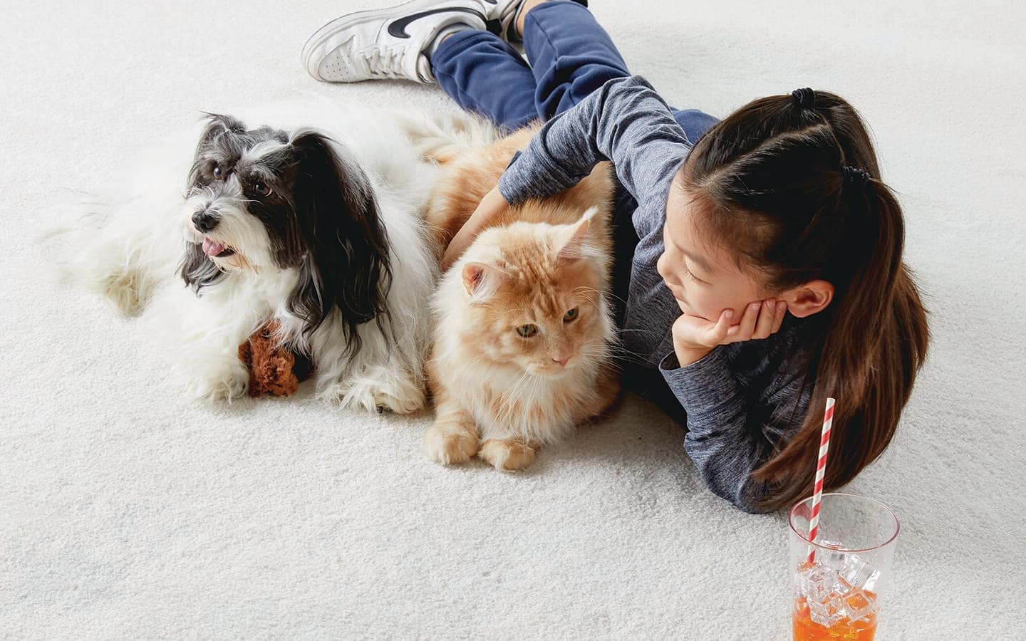 A child playing with a dog and cat on a white carpet.
