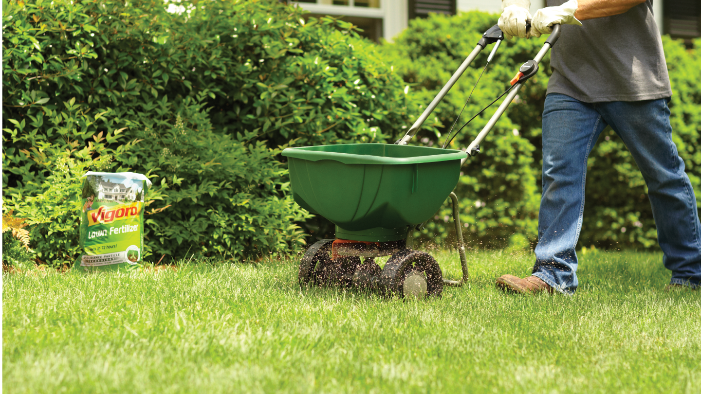Grass Seeding