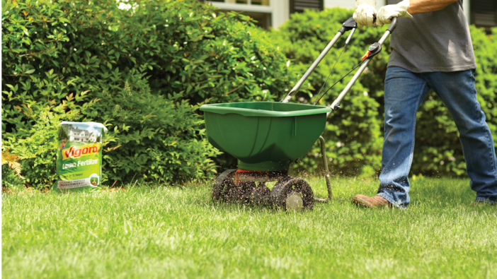 Image for Best Lawn Fertilizer for Your Yard