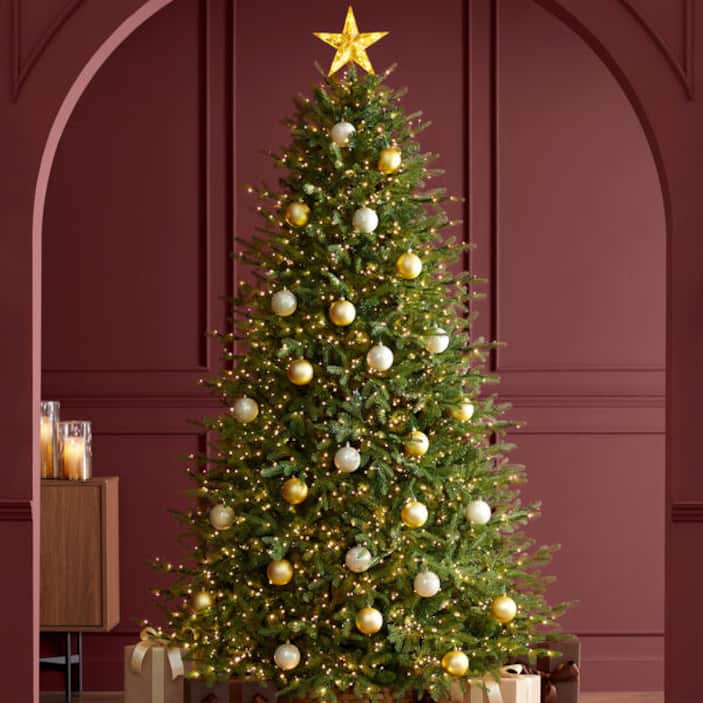 7.5 ft. Grand Duchess Balsam Fir Tree