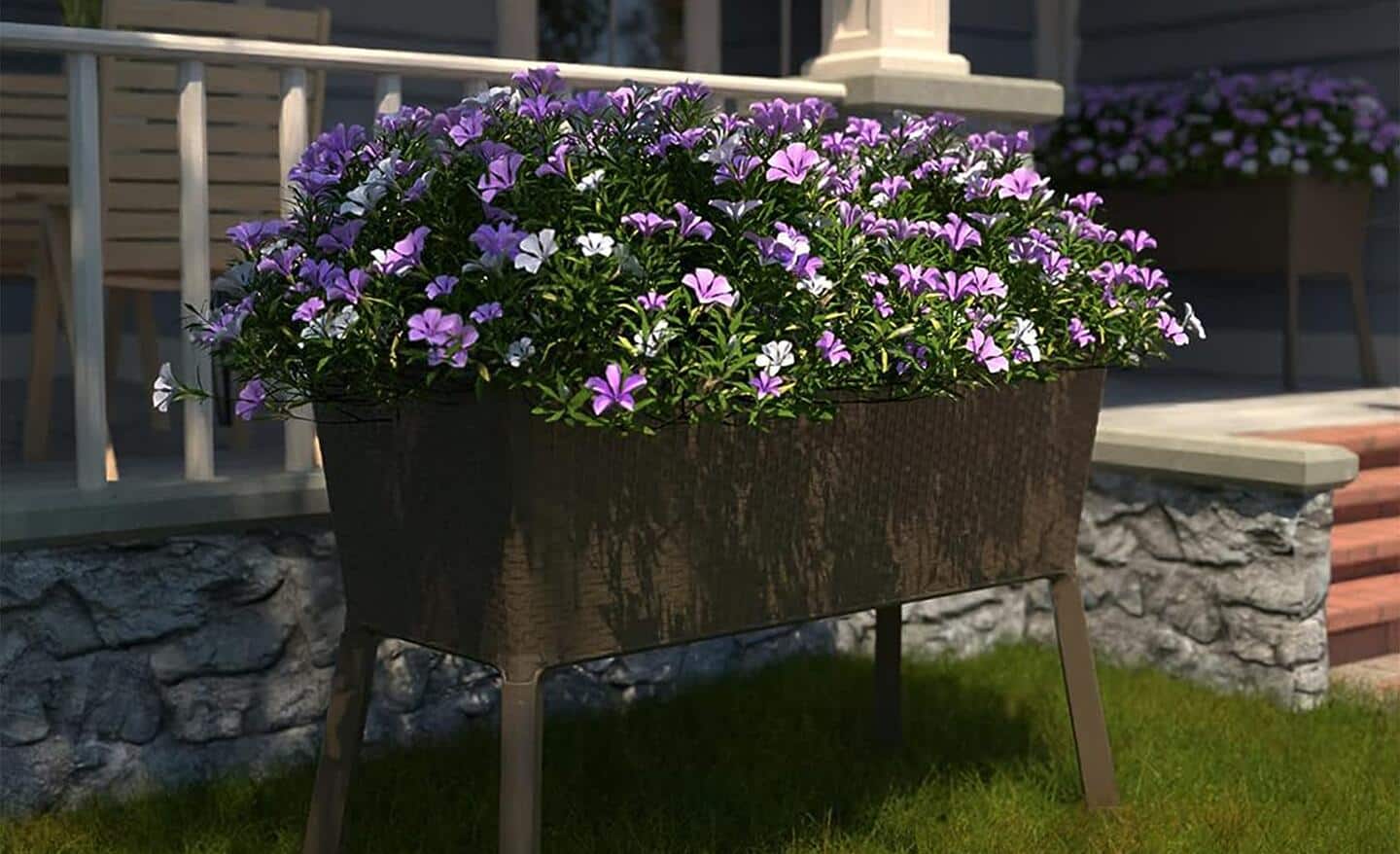 A raised dark-colored garden bed filled with purple flowers sitting next to the entrance to a home. 