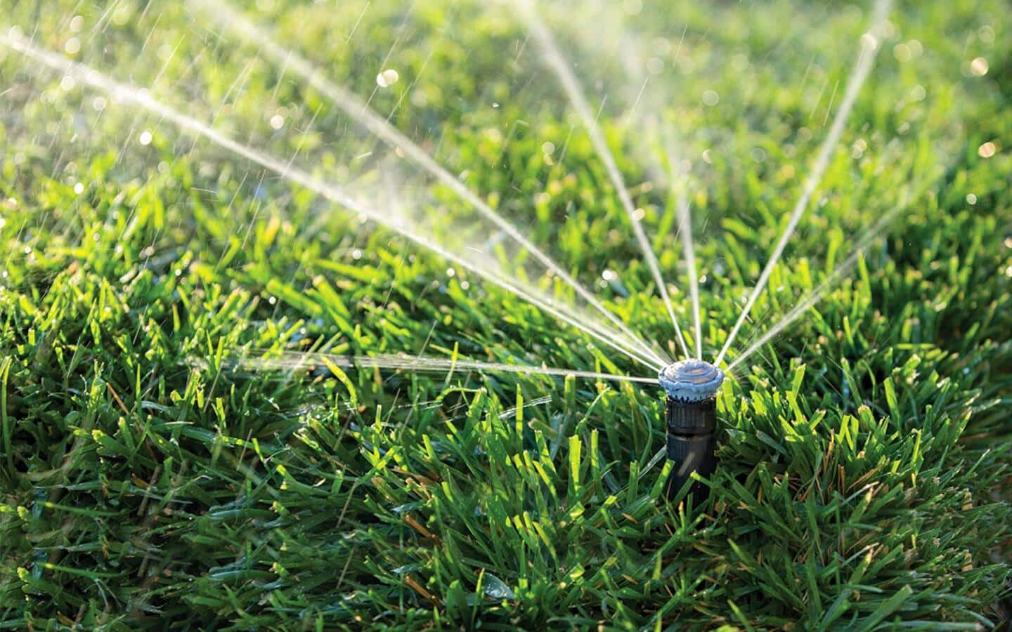 A sprinkler system in a lawn sends out streams of water
