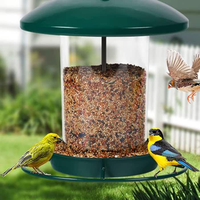 Seed Feeders