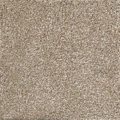 Image for Beige Carpet