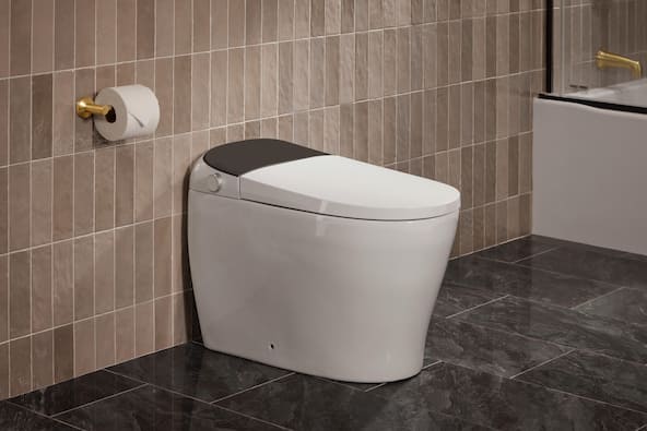 Bidet Toilets