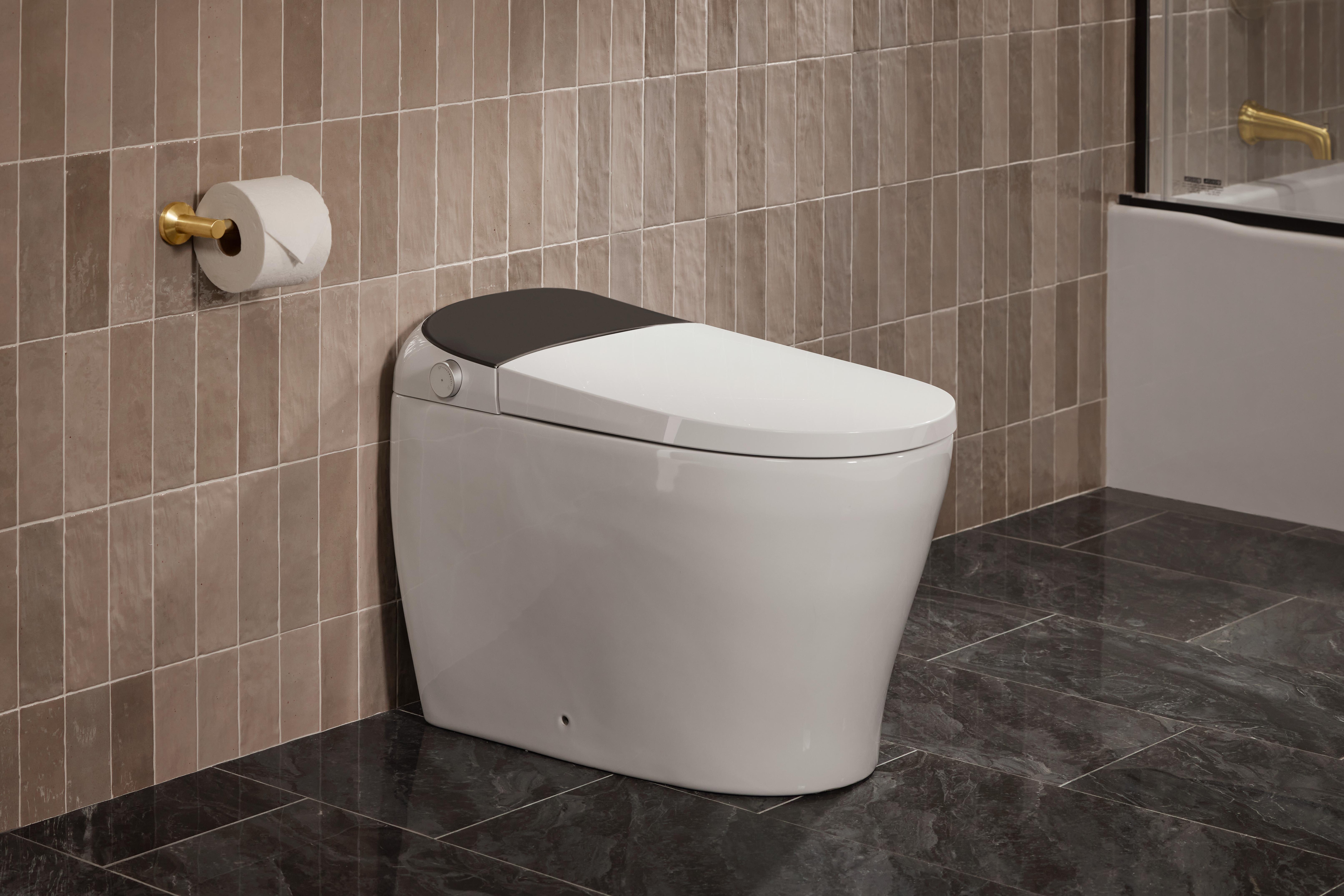 Bidet Toilets Bidet Toilets