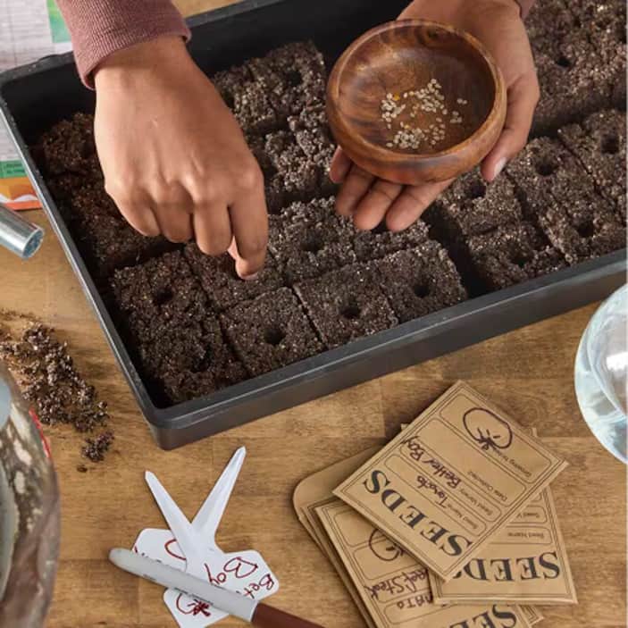 How to Start Seeds Indoors