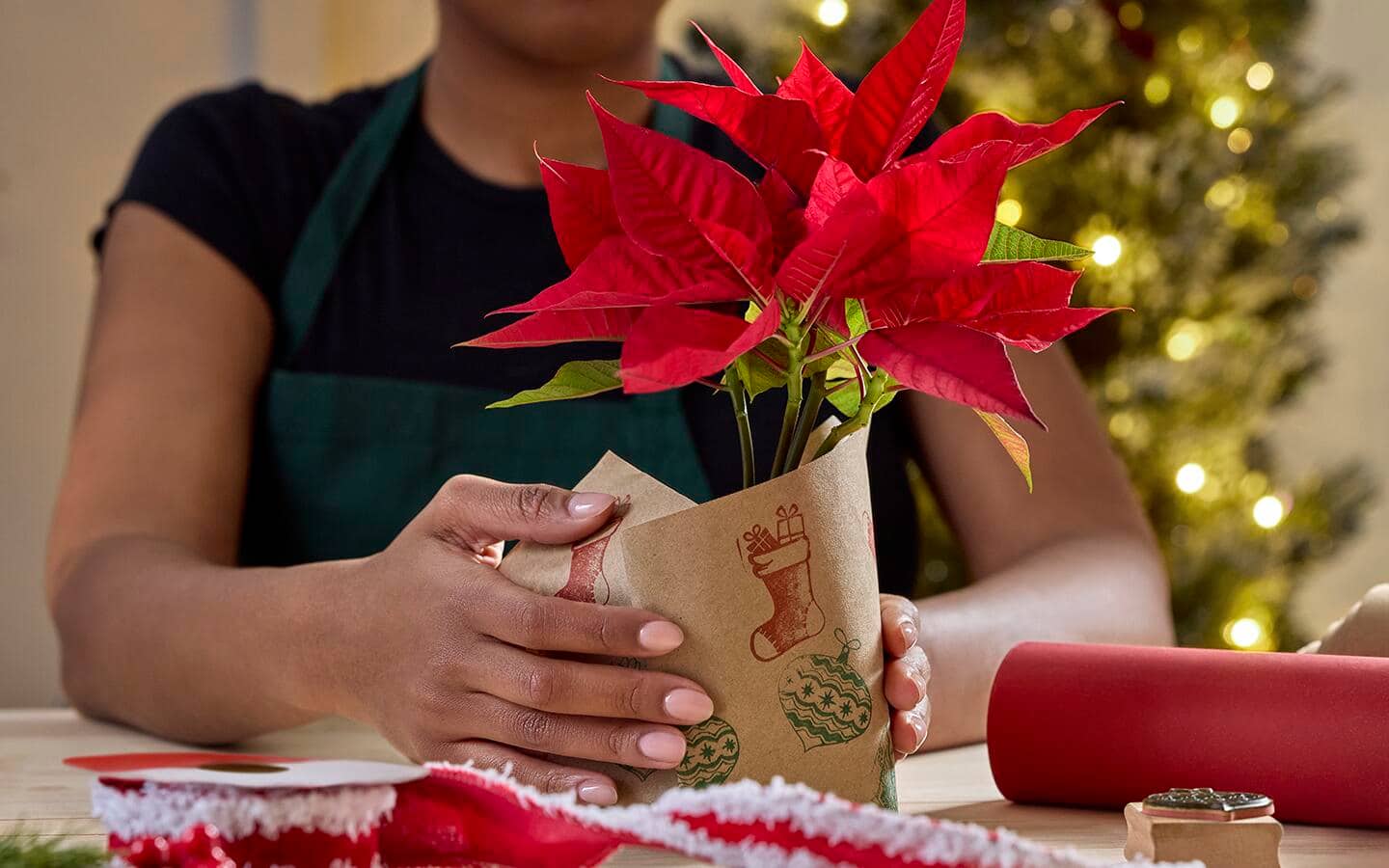 Person folds paper around poinsettia pot