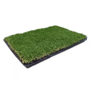 Image for Shop All Sod