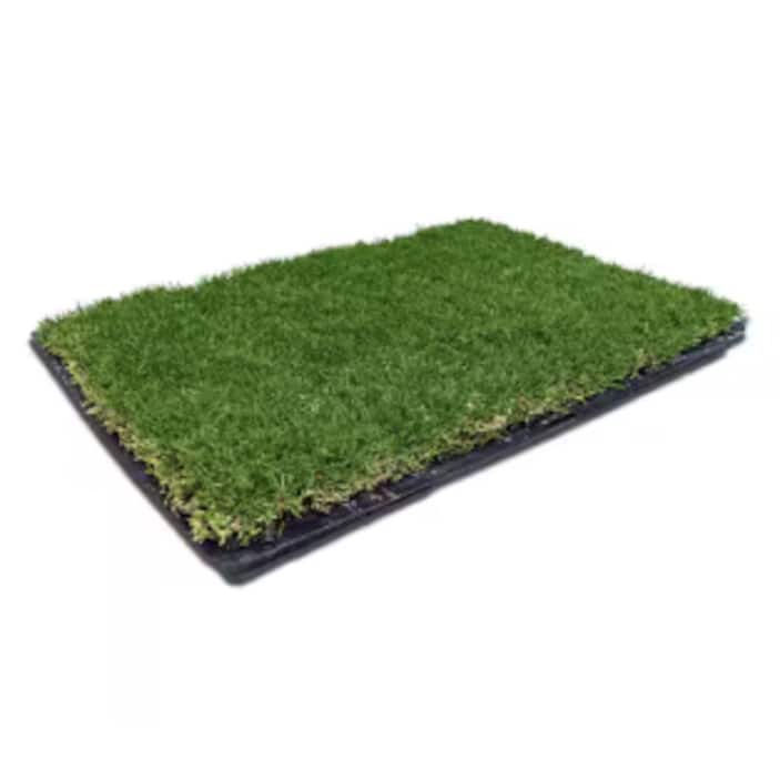 Sod