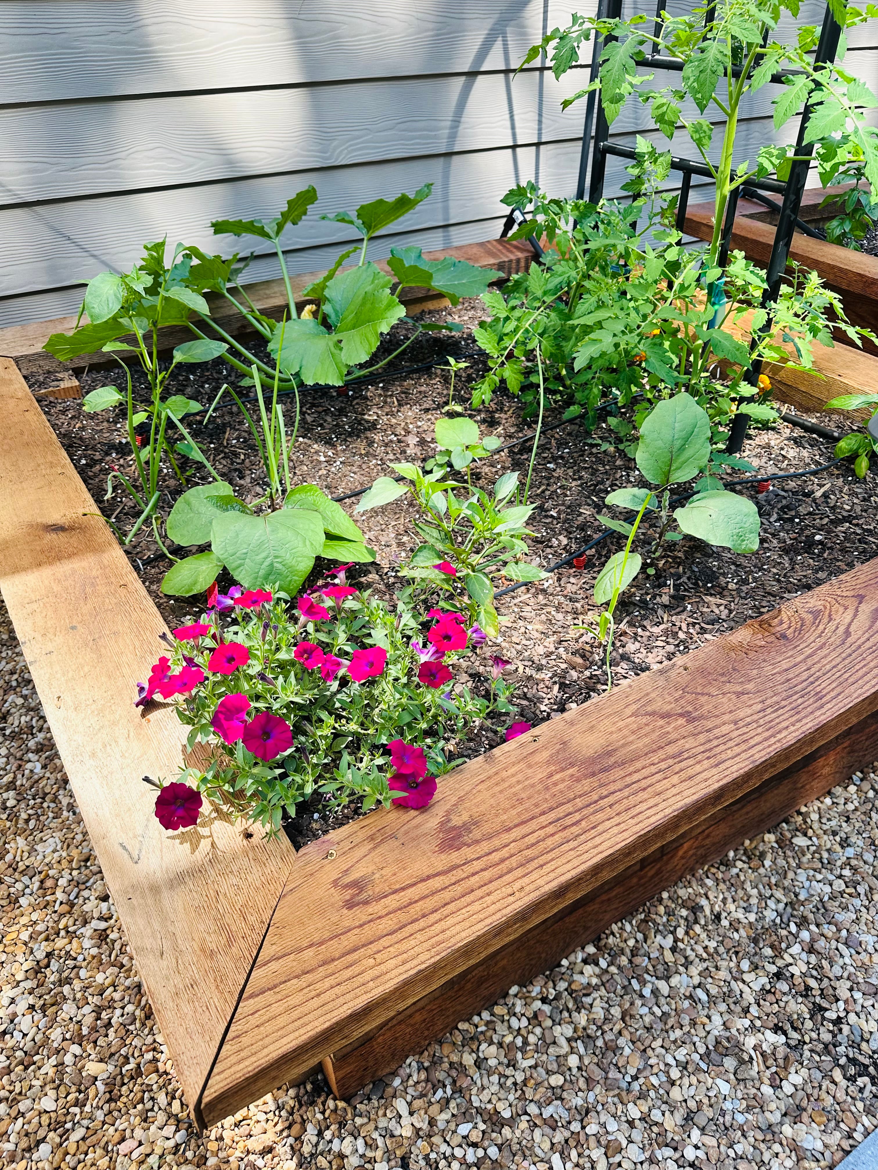 Close-up of a raised garden bed featuring a variety of plants and herbs. Close-up of a raised garden bed featuring a variety of plants and herbs.