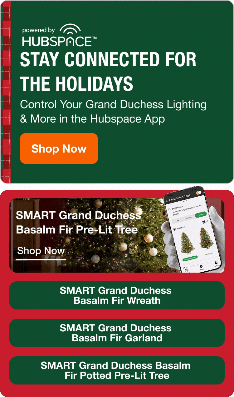 Smart Home Holiday Hero 10/8/26