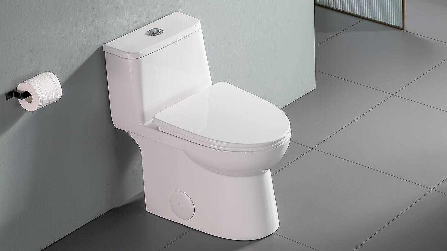 14-Inch Rough-In Toilets 