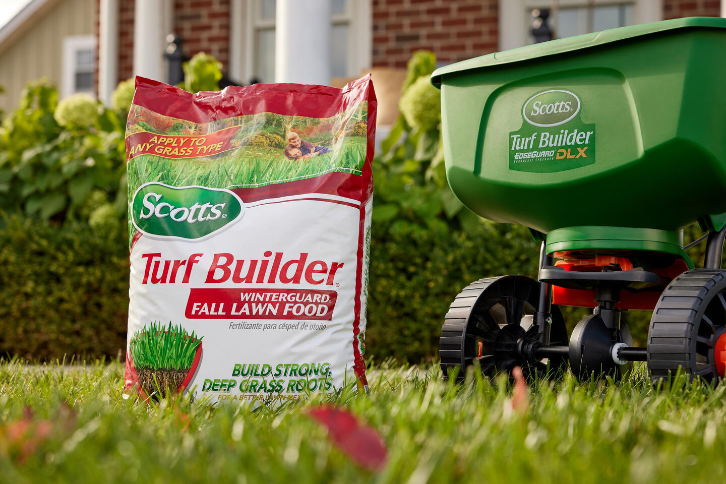 Lawn Mowing & Maintenance