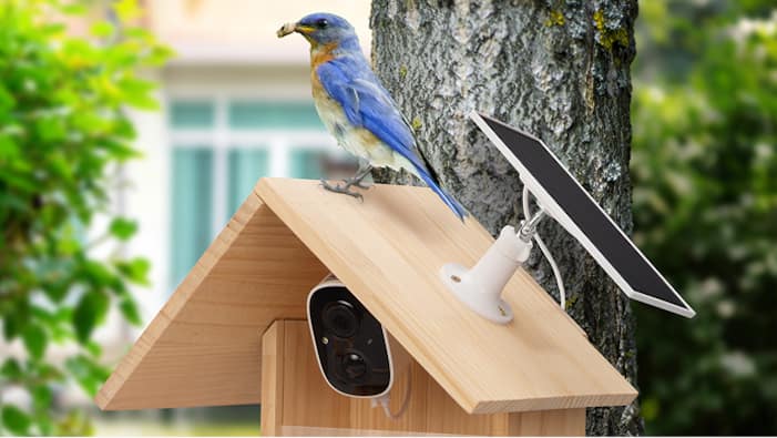 Smart Bird Feeders