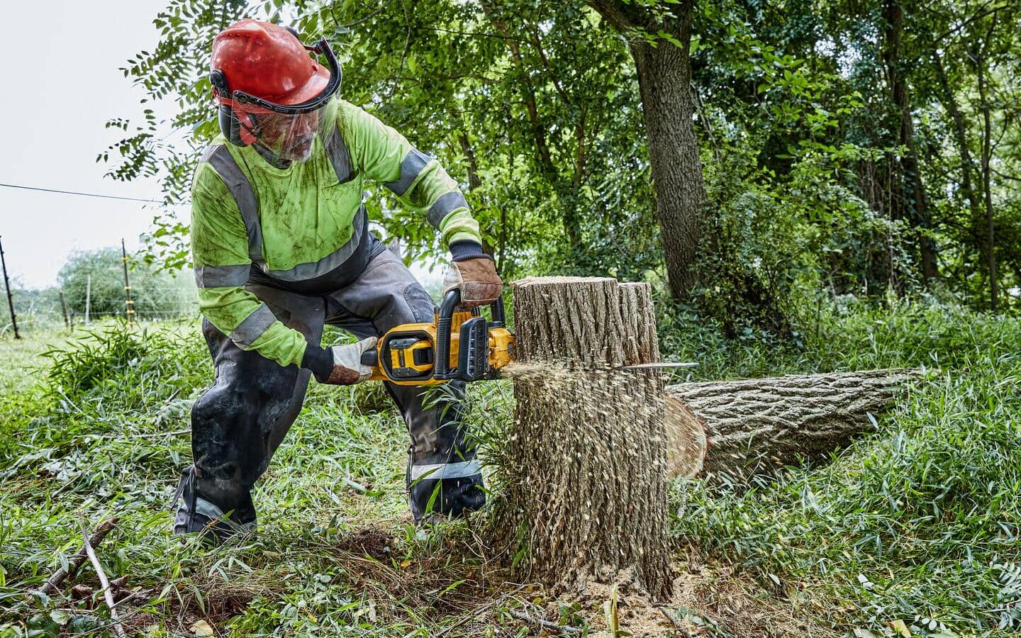 A man wears a full set of chainsaw PPE while operating a chainsaw. A man wears a full set of chainsaw PPE while operating a chainsaw.
