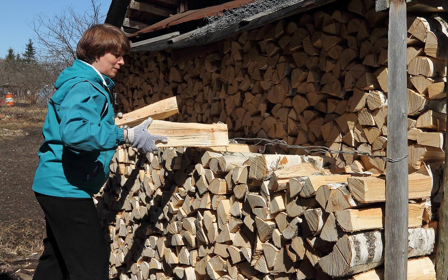 A person adds split wood onto a large pile of stacked firewood.