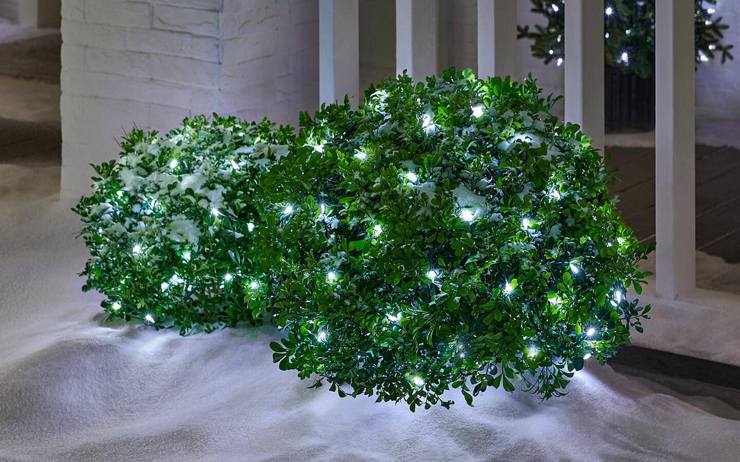 Net lights placed over bushes for holiday decorating at a home. Net lights placed over bushes for holiday decorating at a home.