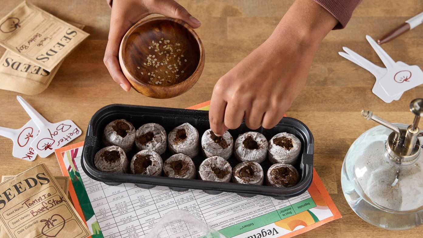 How to Start Seeds Indoors