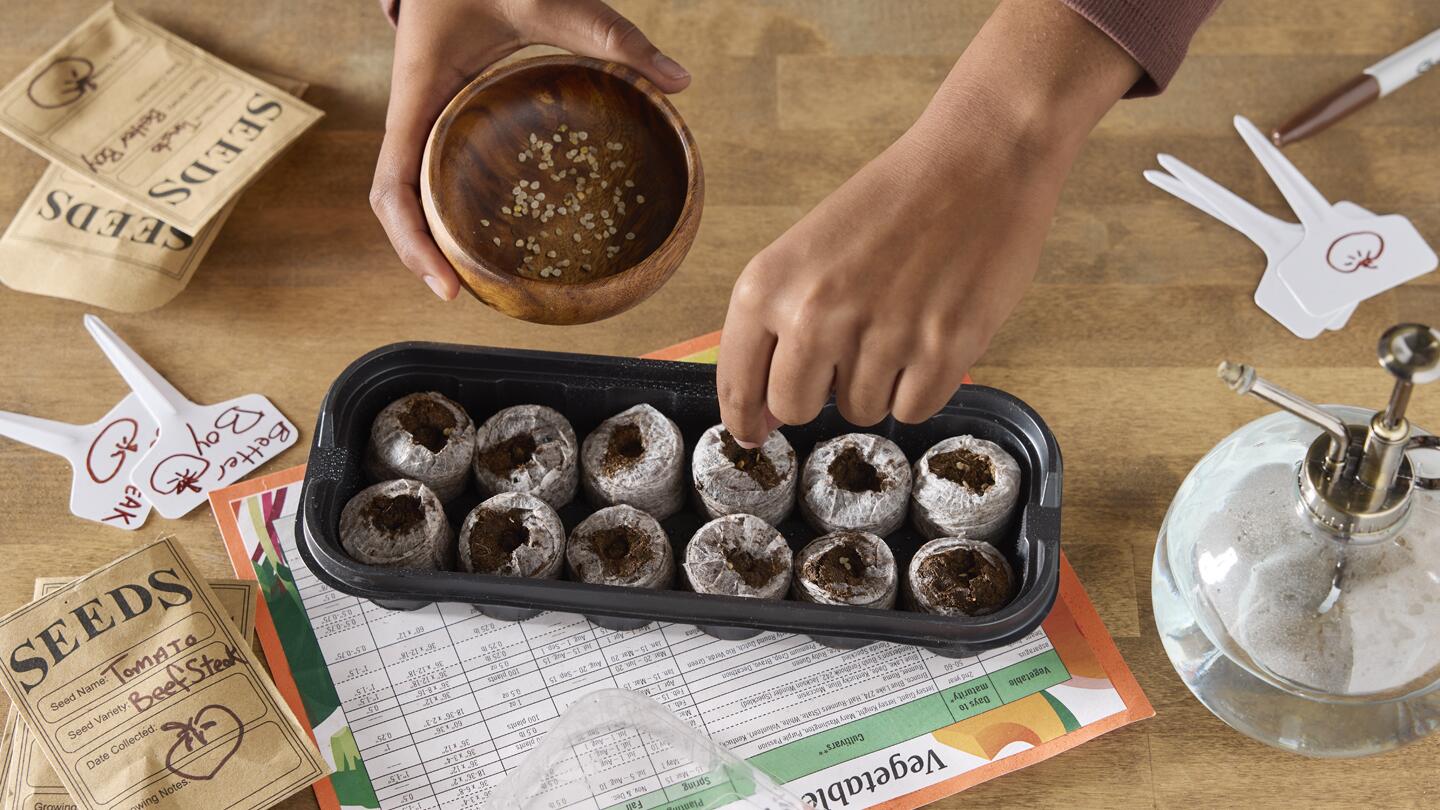 How to Start Seeds Indoors