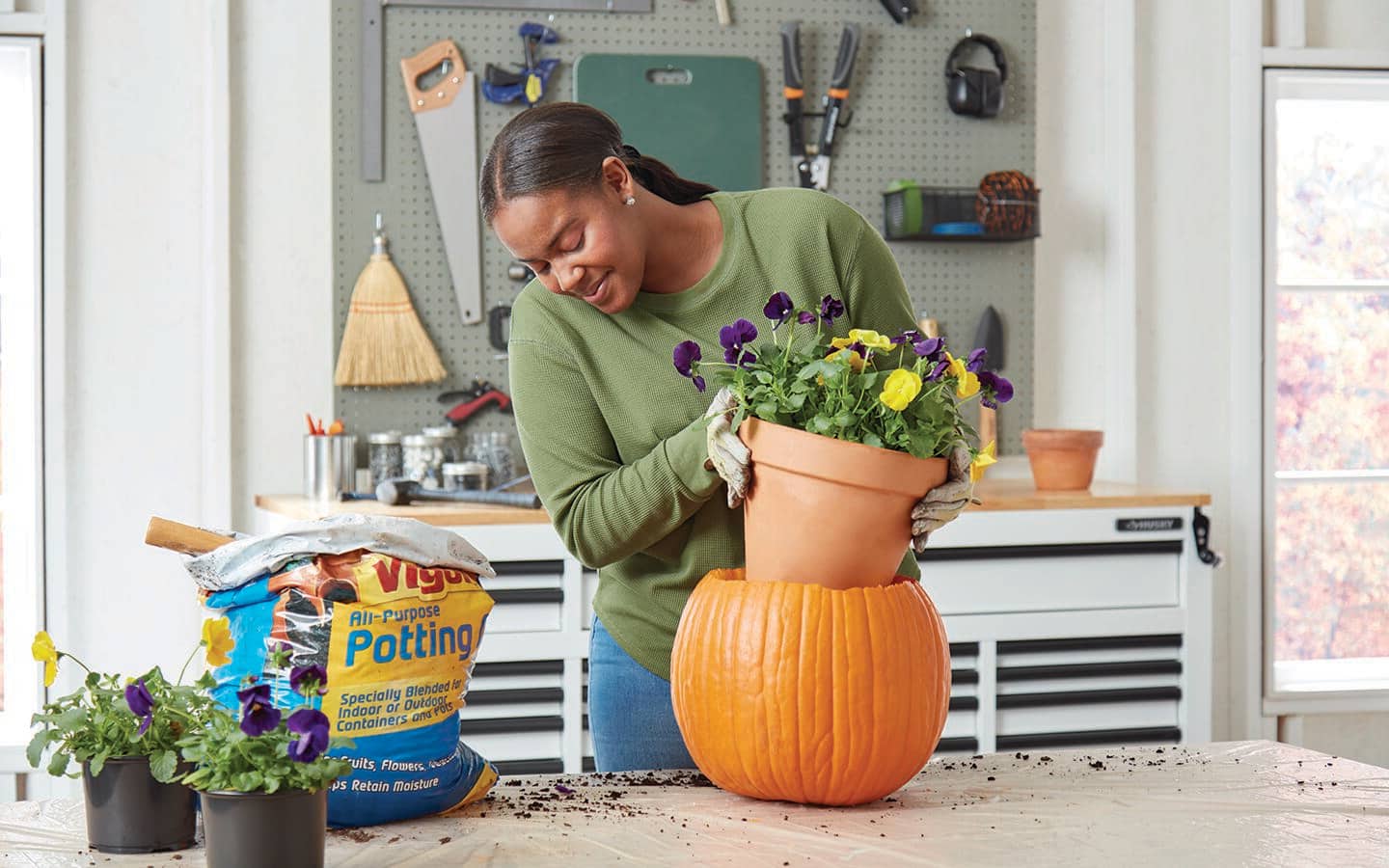 Person placing a pot of pansies into a freshly cut pumpkin shell. Person placing a pot of pansies into a freshly cut pumpkin shell.