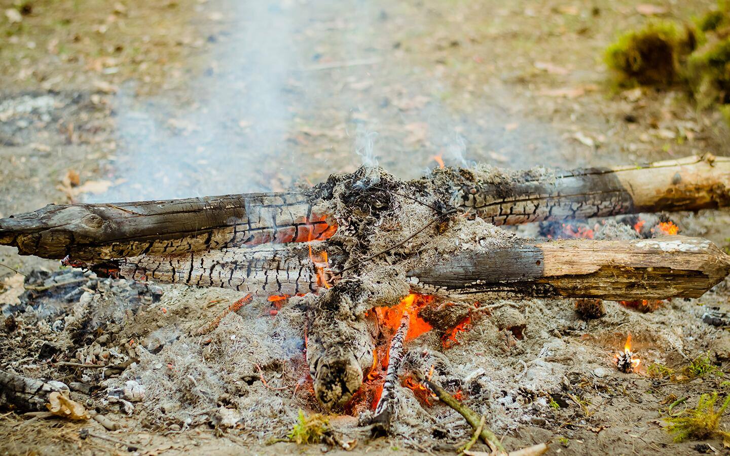 Burned wood, glowing embers and coals on the ground.