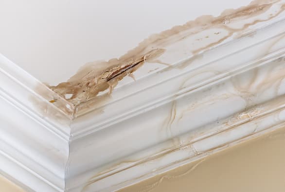 How To Fix a Leaky Roof