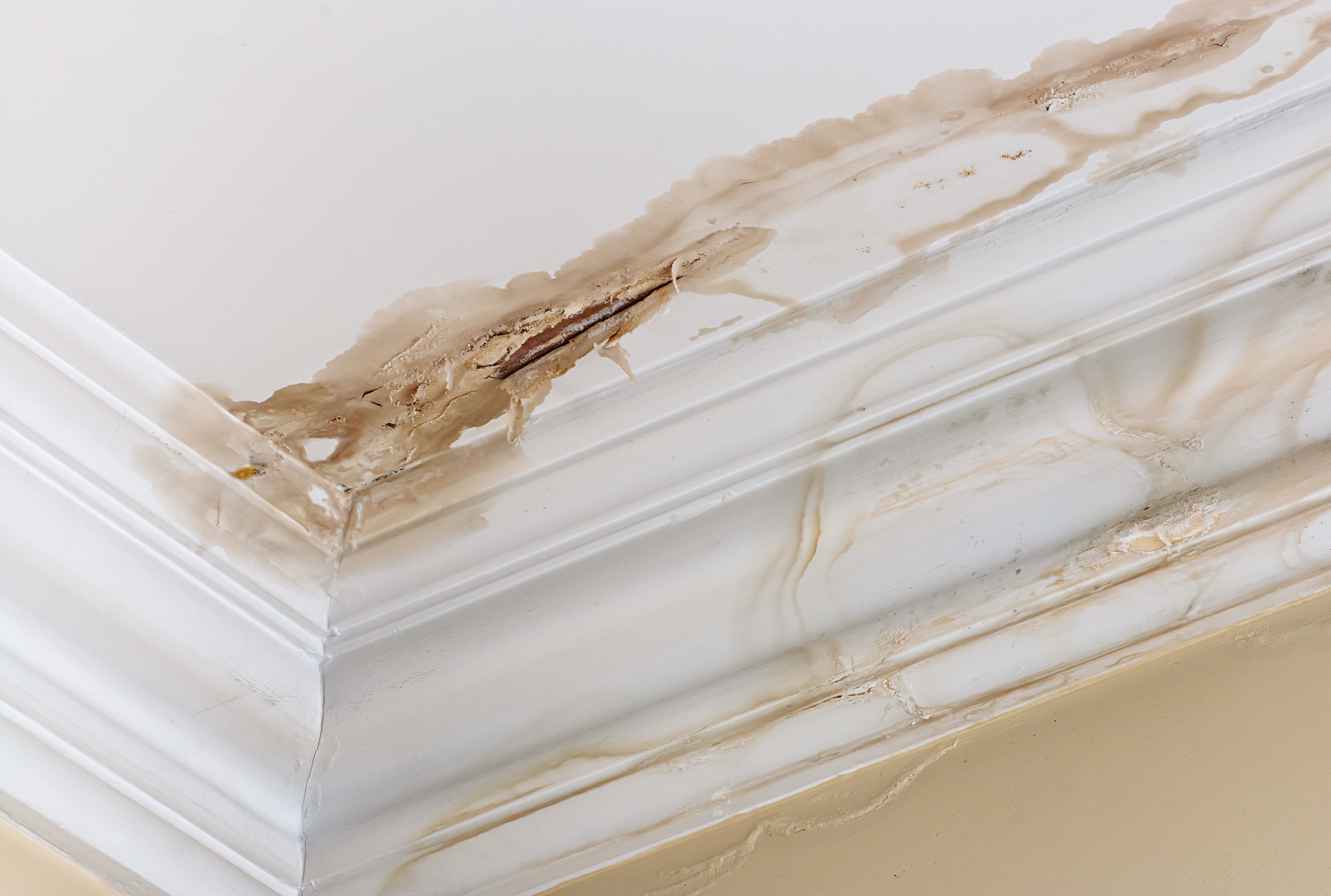 How To Fix a Leaky Roof