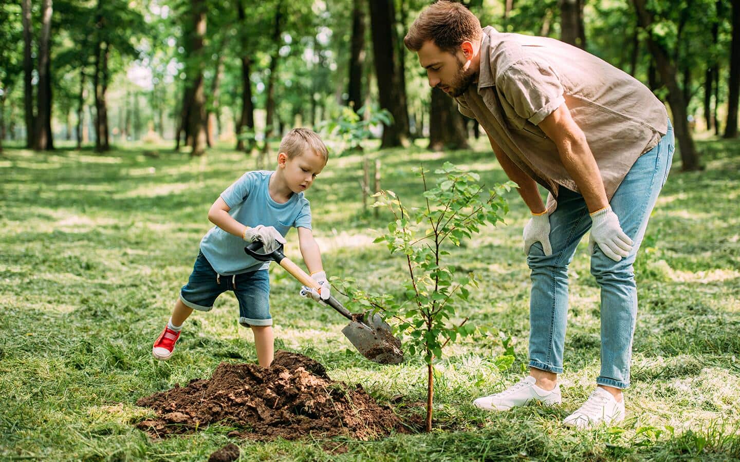 A child fills in the soil around a freshly planted tree while a parent watches.