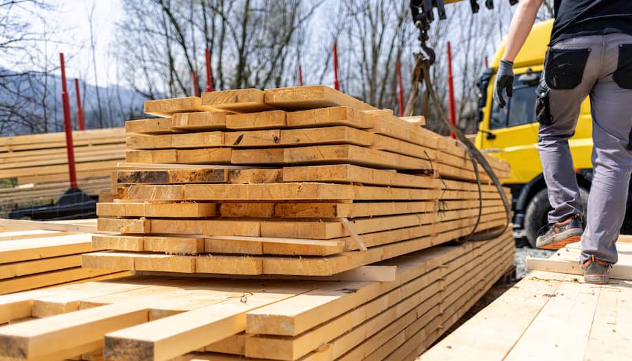 lumber market steadies after years of volatility