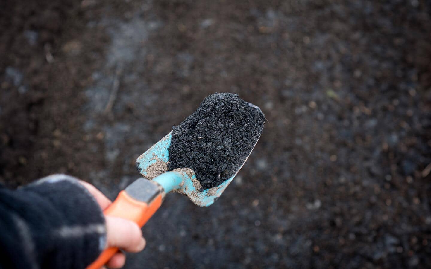 Gardener holds a trowel filled with biochar product Gardener holds a trowel filled with biochar product