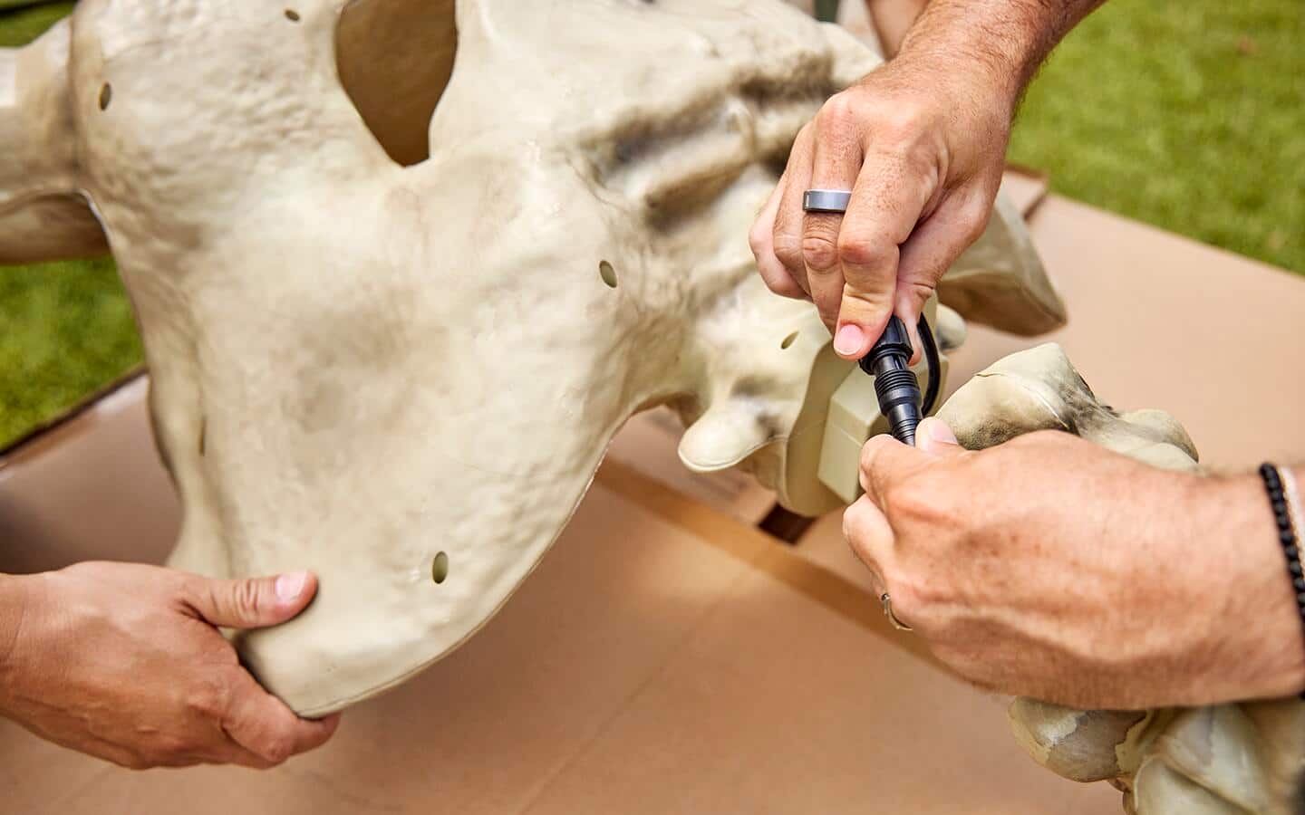 A person connects cords together while a second person holds the skeleton in place. A person connects cords together while a second person holds the skeleton in place.