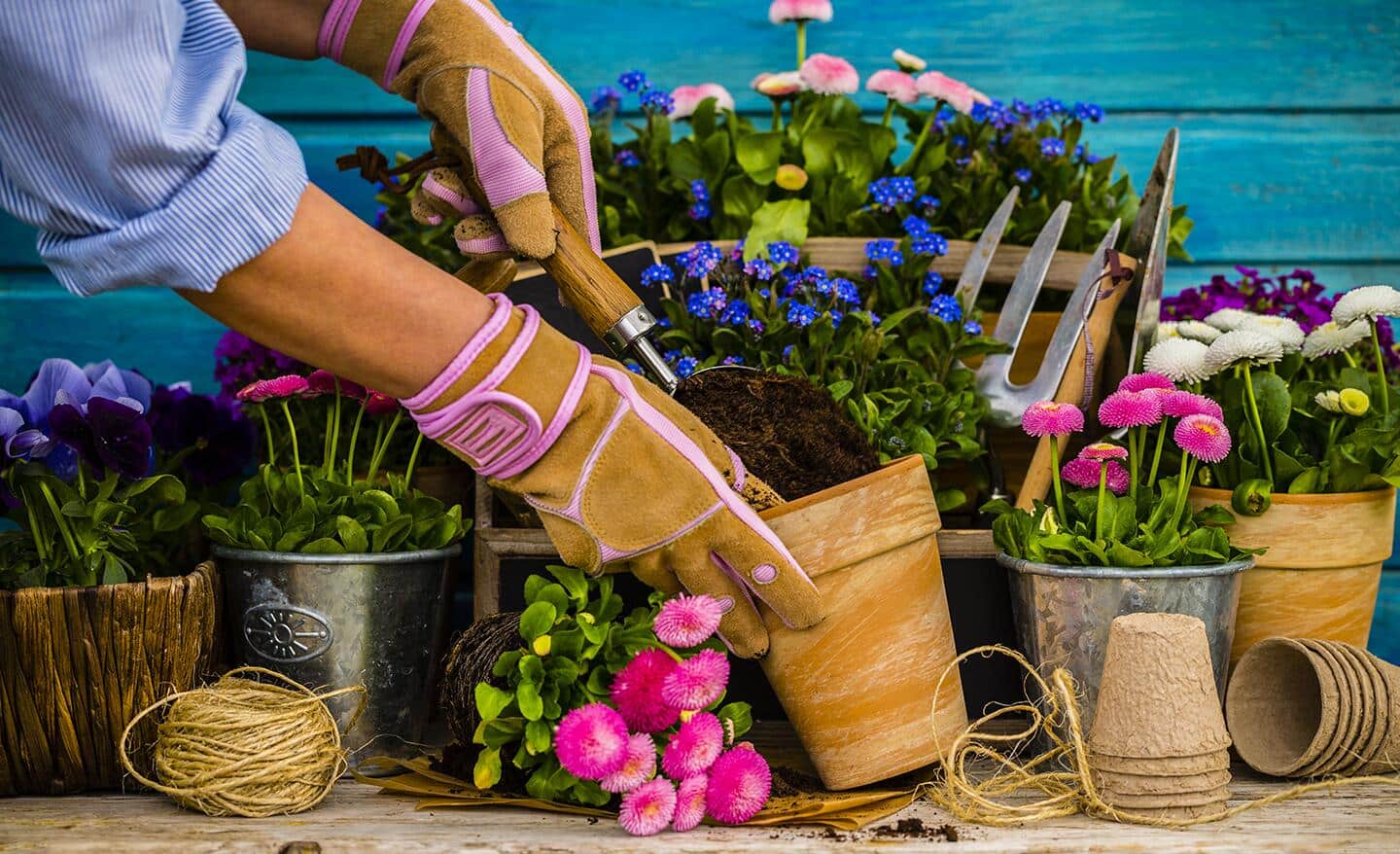 Gardener filling a flower pot with soil and plants