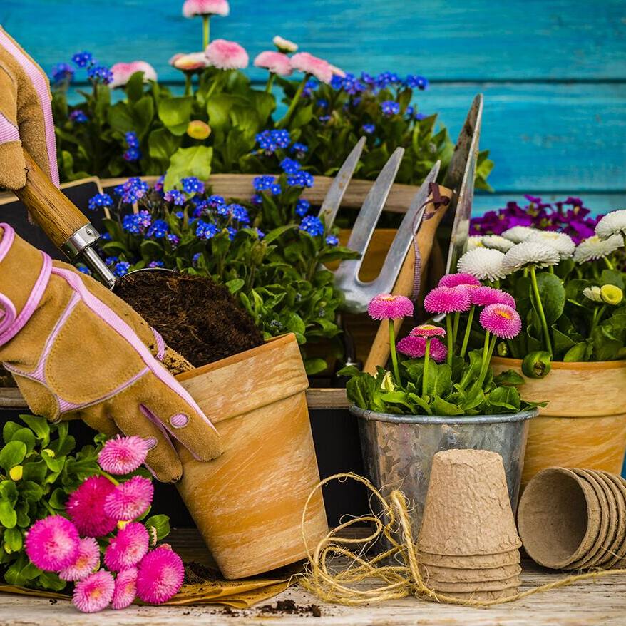 Image for Shop Flower Pots