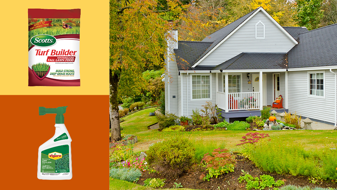 Image for Maintain Your Lawn