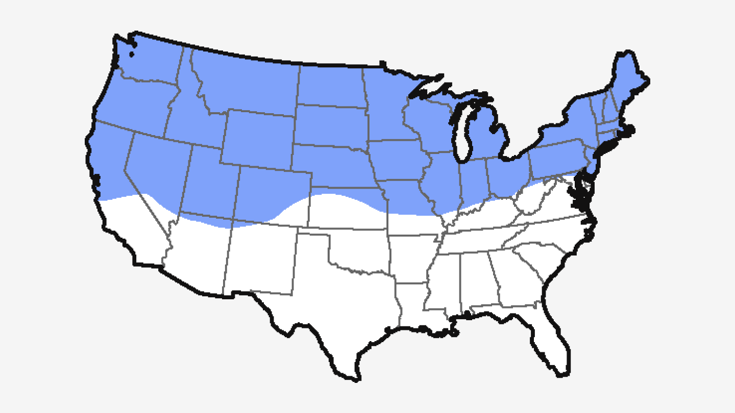 Northern Region Grass Types Northern Region Grass Types