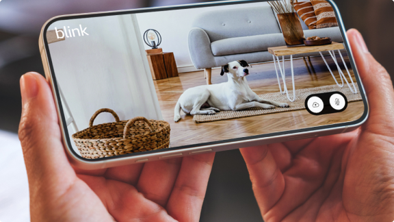 Be There from Anywhere Be There from Anywhere