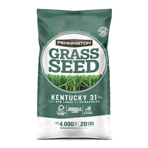 Image for Cool Season Grass Seed