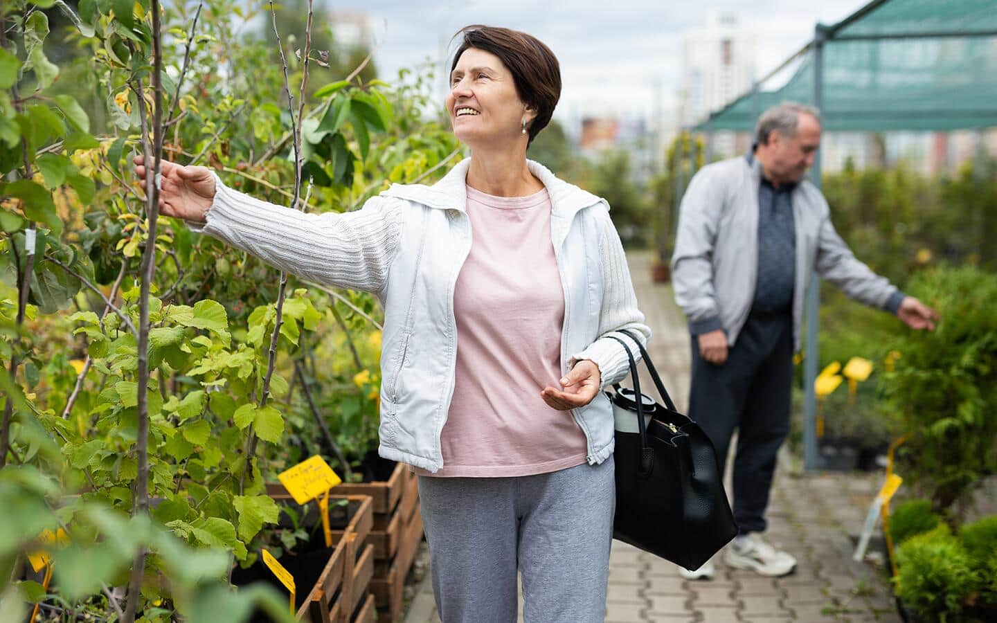 Someone shopping for new tree.