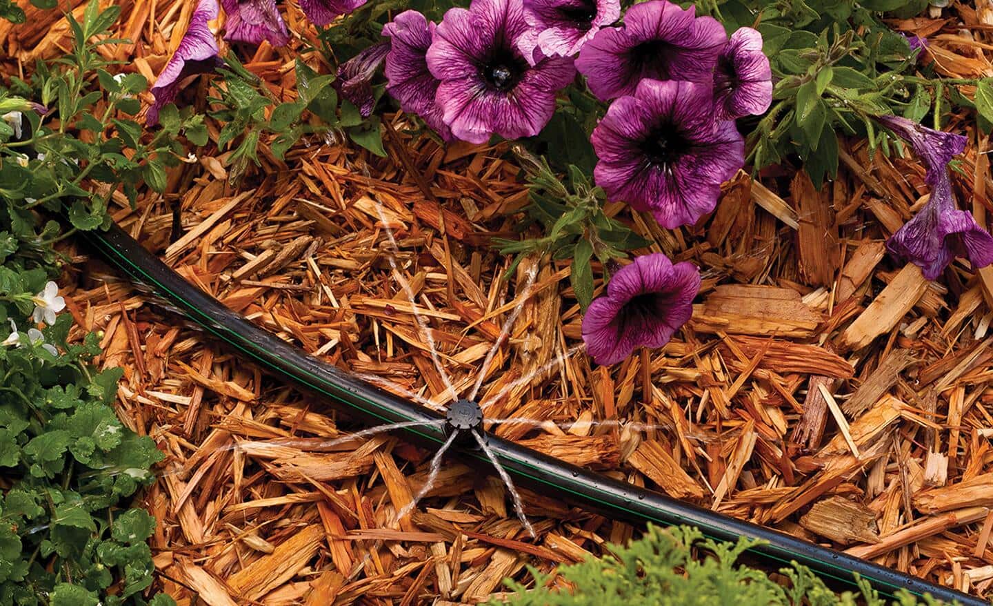 Drip irrigation system in a garden bed