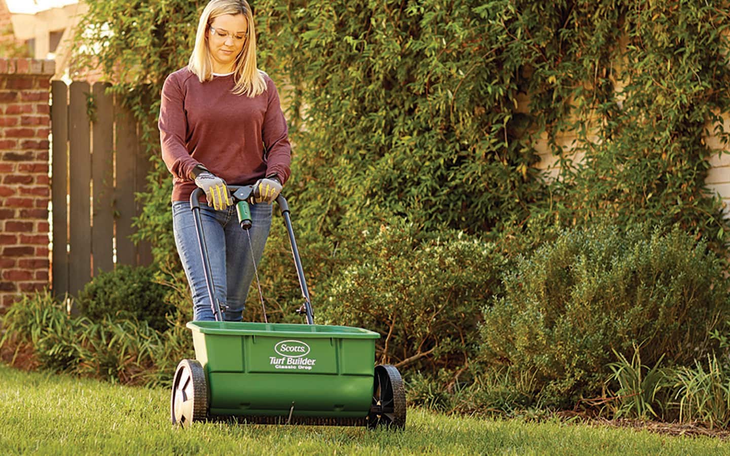 A person pushes a drop spreader on a lawn. A person pushes a drop spreader on a lawn.