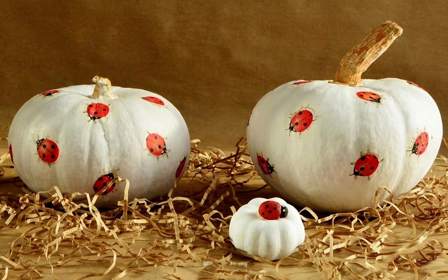 Pumpkins with ladybugs painted on them.
