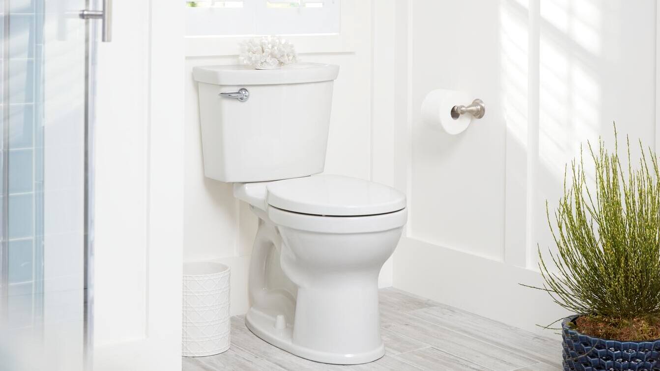 Glacier Bay McClure 1-piece 1.1 GPF/1.6 GPF High Efficiency Dual Flush  Elongated Toilet in Black, Seat Included N2420-BLK - The Home Depot
