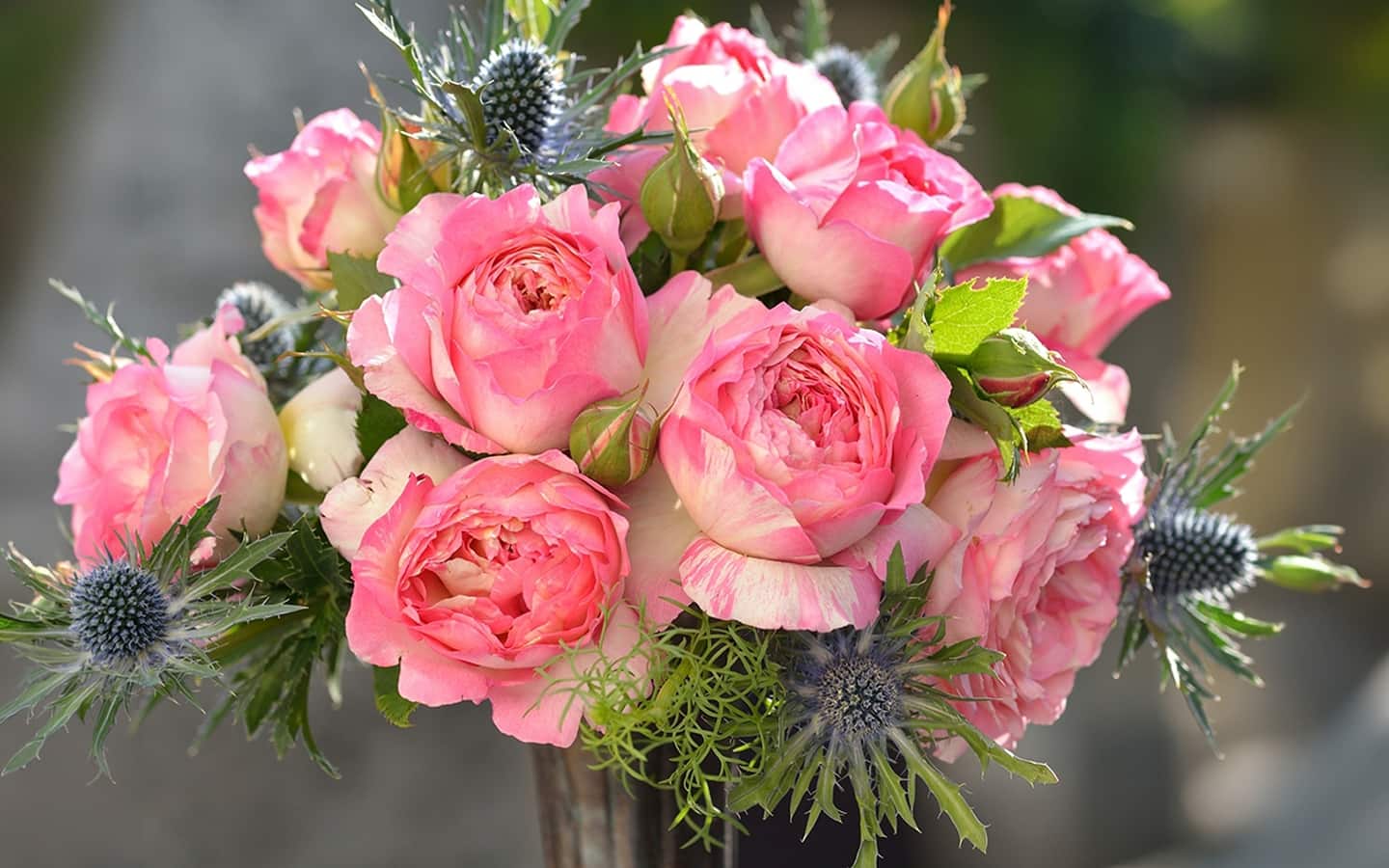 A bouquet of pink roses in a vase A bouquet of pink roses in a vase
