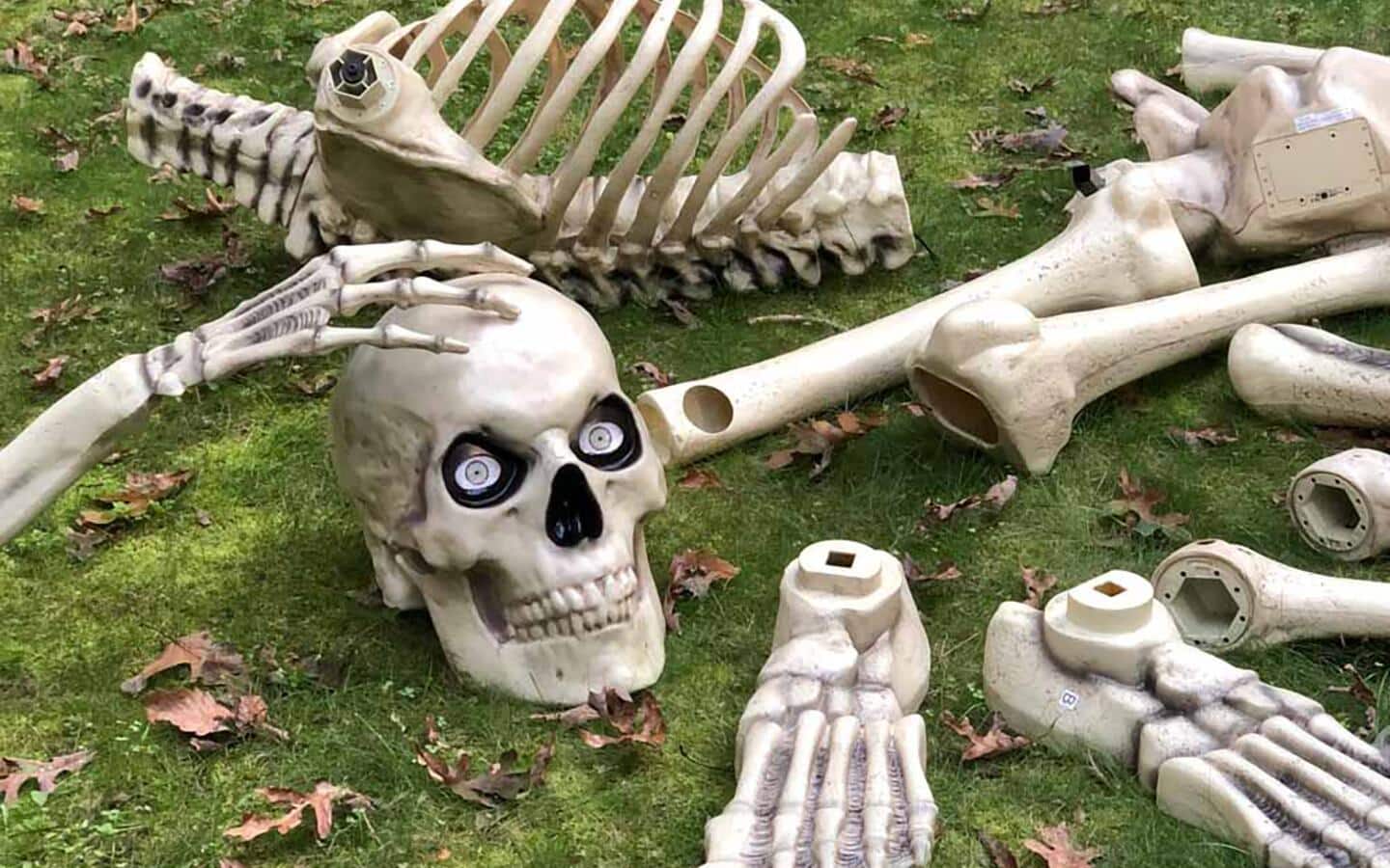 Skeleton pieces laid out on a lawn and ready for assembly. Skeleton pieces laid out on a lawn and ready for assembly.