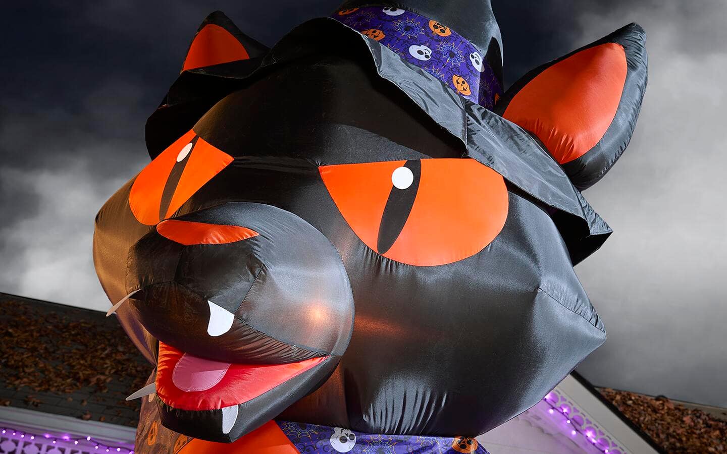 Close up of inflatable Halloween black cat. Close up of inflatable Halloween black cat.