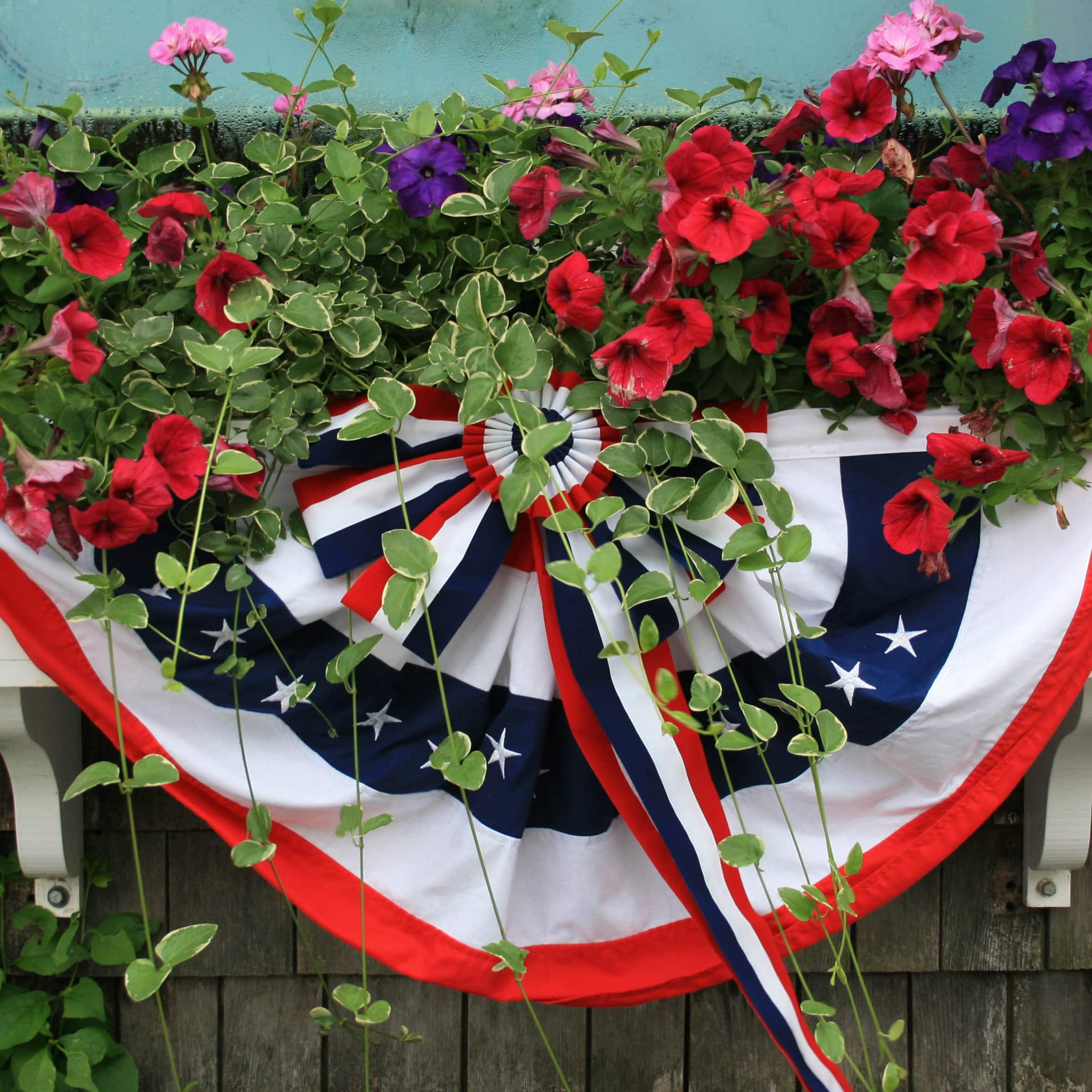 Image for 4th Of July Outdoor Plant Sales