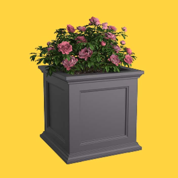 Planters