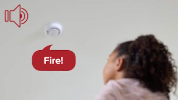 Voice Alerts