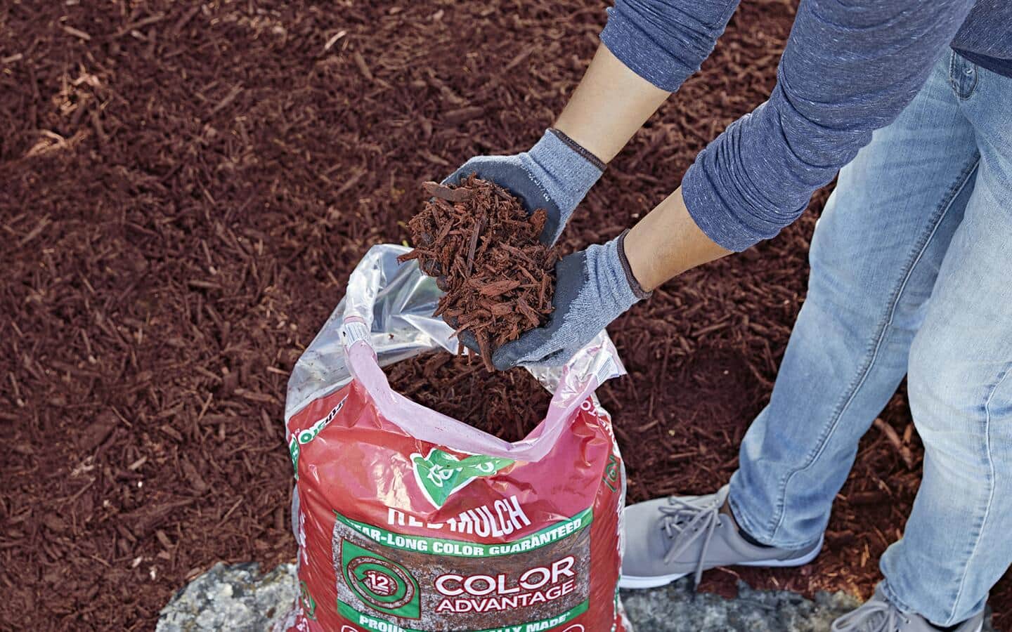 A person lays colored mulch in a garden. A person lays colored mulch in a garden.